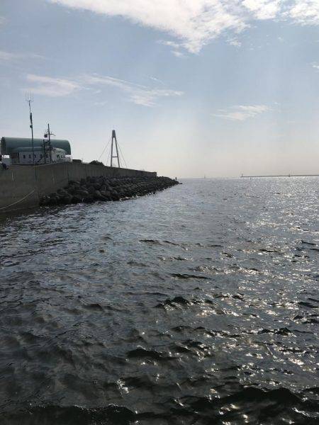 今年初武庫川一文字！