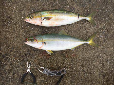 ショアジギング