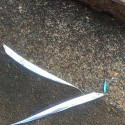 小松島終了気味