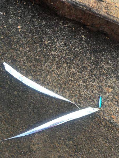 小松島終了気味