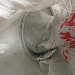 月見ヶ丘初釣行