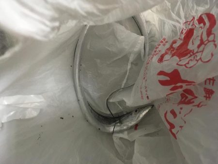 月見ヶ丘初釣行