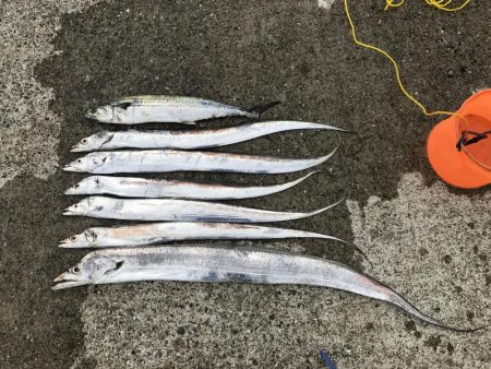 ポーアイチャレンジ