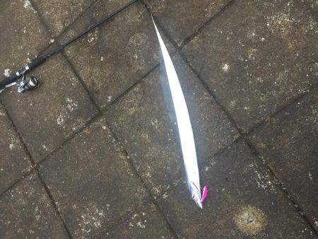 雨に降られても