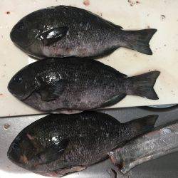 スローワインド