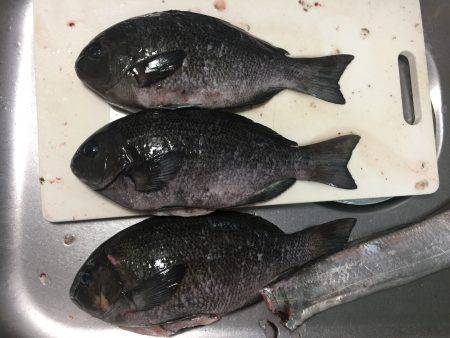 スローワインド