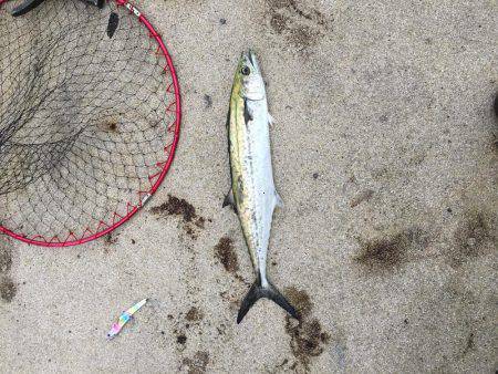 今日は良かった