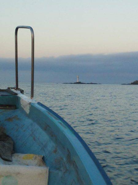 グレ・アオリイカ・共に小さい・・・・・・