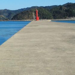 太刀魚とアジ・・