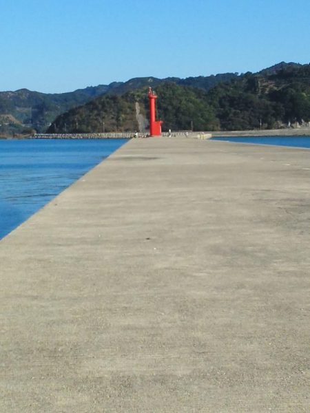 太刀魚とアジ・・