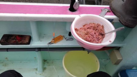 初の船釣りは最高の釣果!