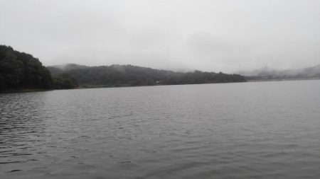 今期初ワカサギ