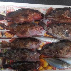 コスモにて探り釣り