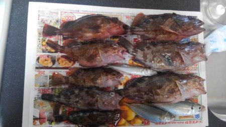 コスモにて探り釣り