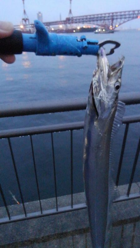 なんとか釣れた