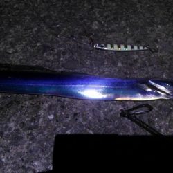 ショアジギボウズ