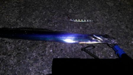 ショアジギボウズ