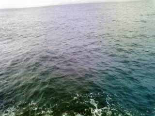 強風、大雨のなか太刀狩り