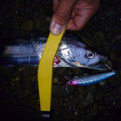 なんとか１匹～