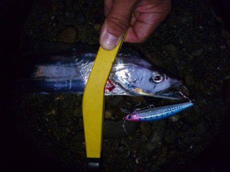 なんとか１匹～