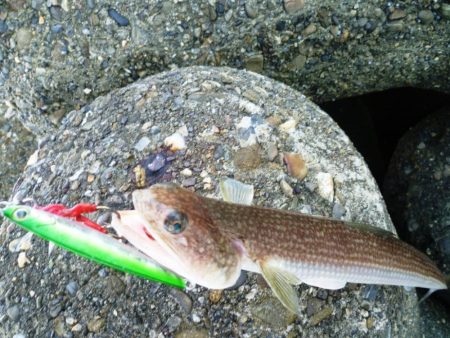 〇〇がいるだけで．．．