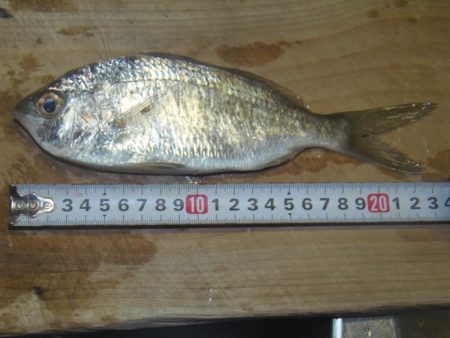 富田浜　大荒れ