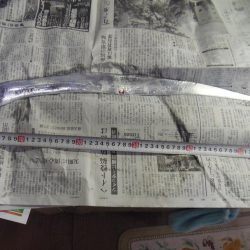 タチウオと小アジ