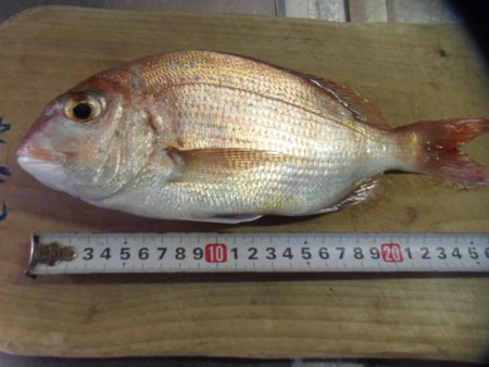 強風と濁流海水