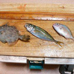 家族でファミリーフィッシング！