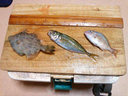 家族でファミリーフィッシング！