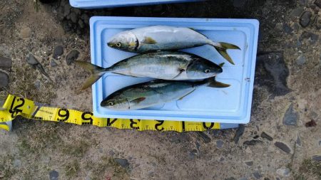 爆風吹く夜明け