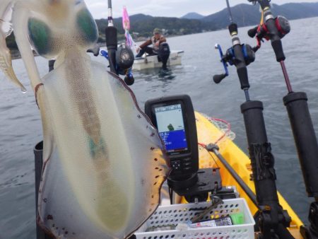 ティップランエギング