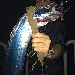 タチウオ・サゴシ・ツバス