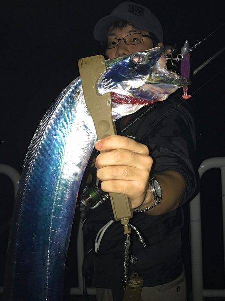 タチウオ・サゴシ・ツバス