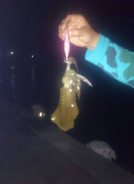 F1日本GPの合間にエギング