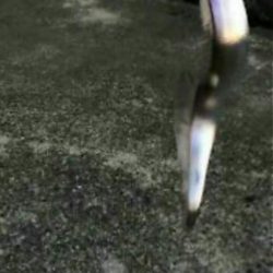 ◯下降気味！？