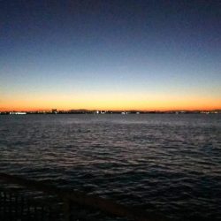 ひっさしぶりのー