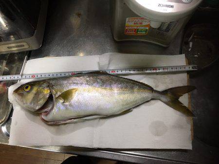 浜吉丸でいく小浦一文字7