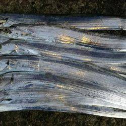 久しぶりに浮き釣り