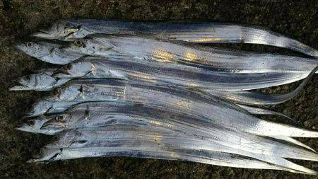 久しぶりに浮き釣り