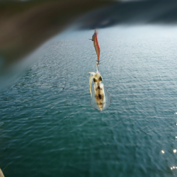 ちょこっとエギング