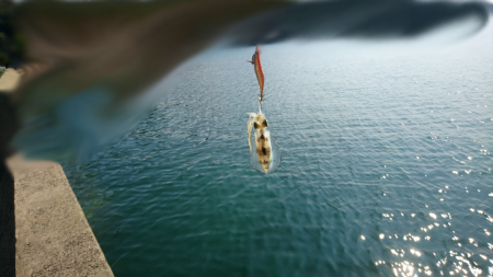 ちょこっとエギング