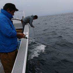 へいみつ丸 釣果