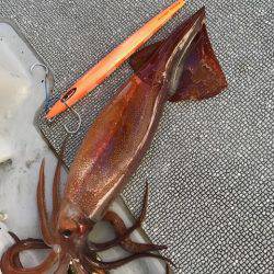 へいみつ丸 釣果