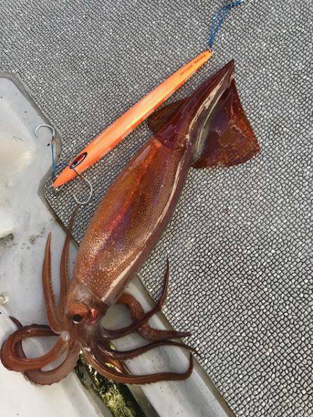 へいみつ丸 釣果