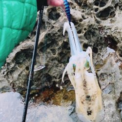 雨のなかでエギング