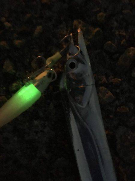 ワインド釣行！