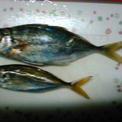 人、人、人．．．