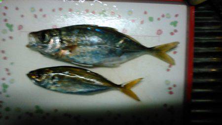 人、人、人．．．