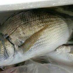 雨天後の海は…